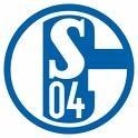 Wer sollte eurer Meinung nach neuer Trainer von Schalke 04 werden?