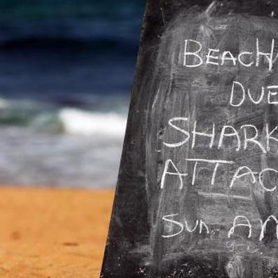 Haiangriff in Kapstadt: Habt ihr Angst vor Haien?