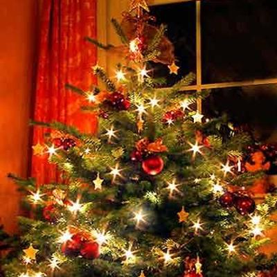 Habt Ihr einen echten oder einen künstlichen Weihnachtsbaum?