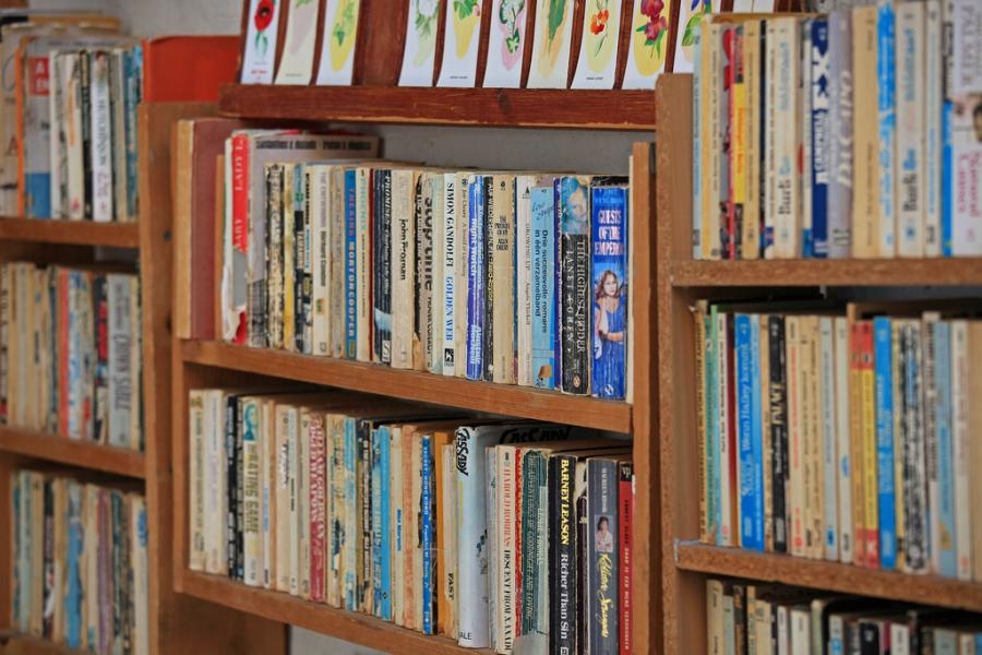 Wie viele Bücher habt ihr zu Hause im Regal?
