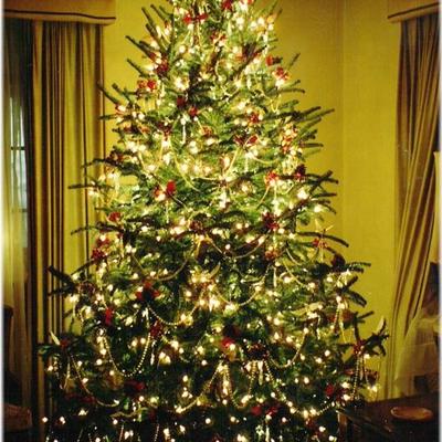 Habt Ihr den Weihnachtsbaum schon geschmückt ?