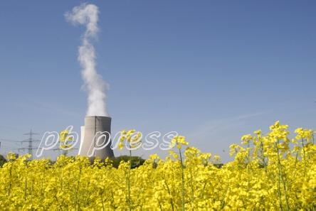 Haltet ihr den Atomausstieg in Deutschland für richtig?