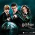 Welchen Teil magst du von Harry Potter ?