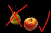 Äpfel oder Birnen, welches Obst mögt ihr lieber?