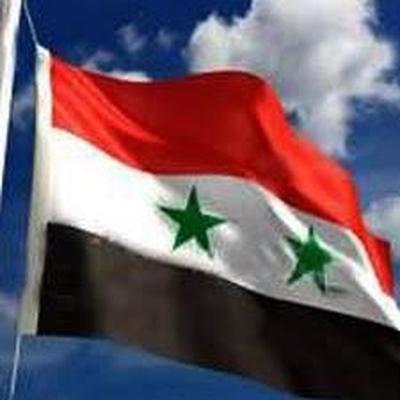 Kann die syrische Opposition gegen den Machtapparat von Assad gewinnen und Syrien befreien?