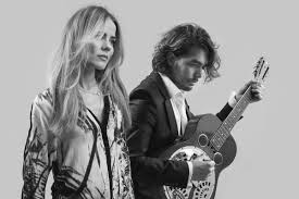 The Common Linnets-Calm after the Storm