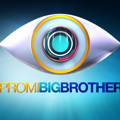 Promi Big Brother: Wer soll gewinnen? (Top 10)