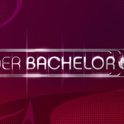 Top 12 - Bachelor Kandidatin 2014