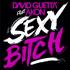 David Guetta feat Akon - Sexy Bitch - (tigerhai98)
