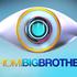 Promi Big Brother - (Tim15)