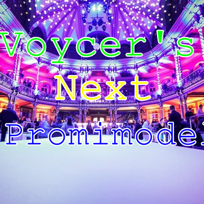 Voycer's Next Promimodel: Aufruf/Regeln/Informationen