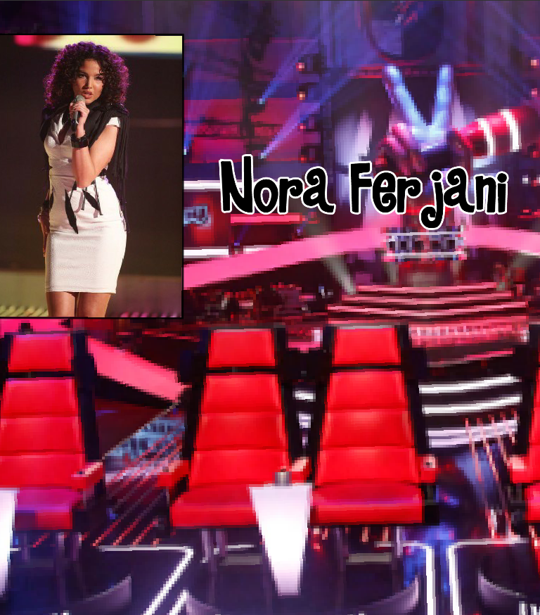 Voycer's The Voice of Germany 2017 // Blind Auditions - Nora Ferjani //