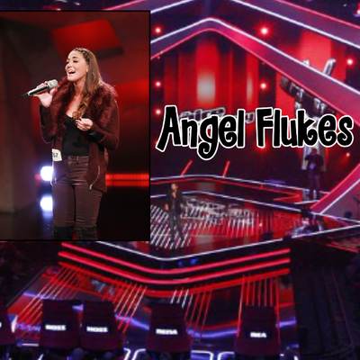 Voycer's The Voice of Germany 2017 // Blind Auditions - Angel Flukes //