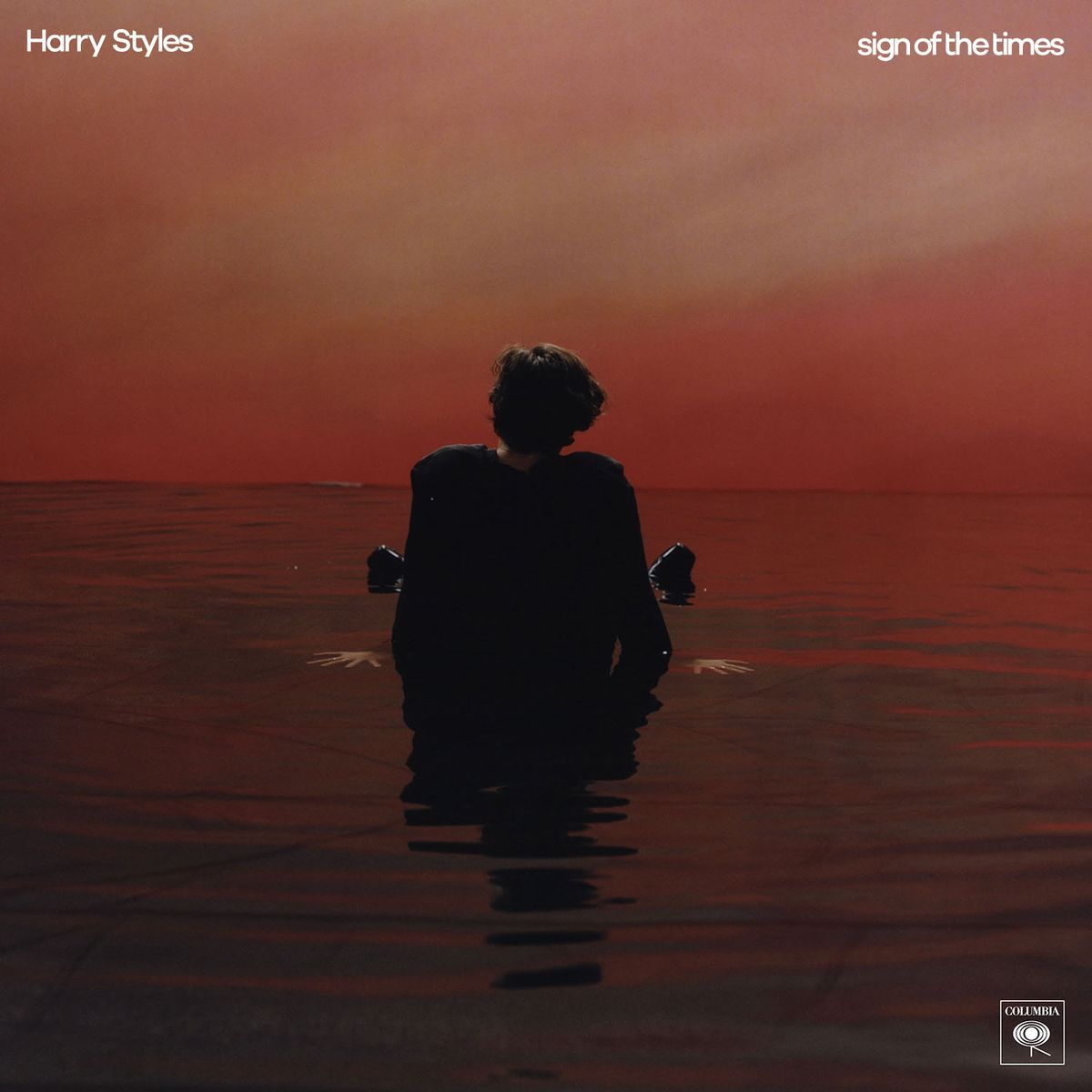 Sign of the Times - Harry Styles // Timmy